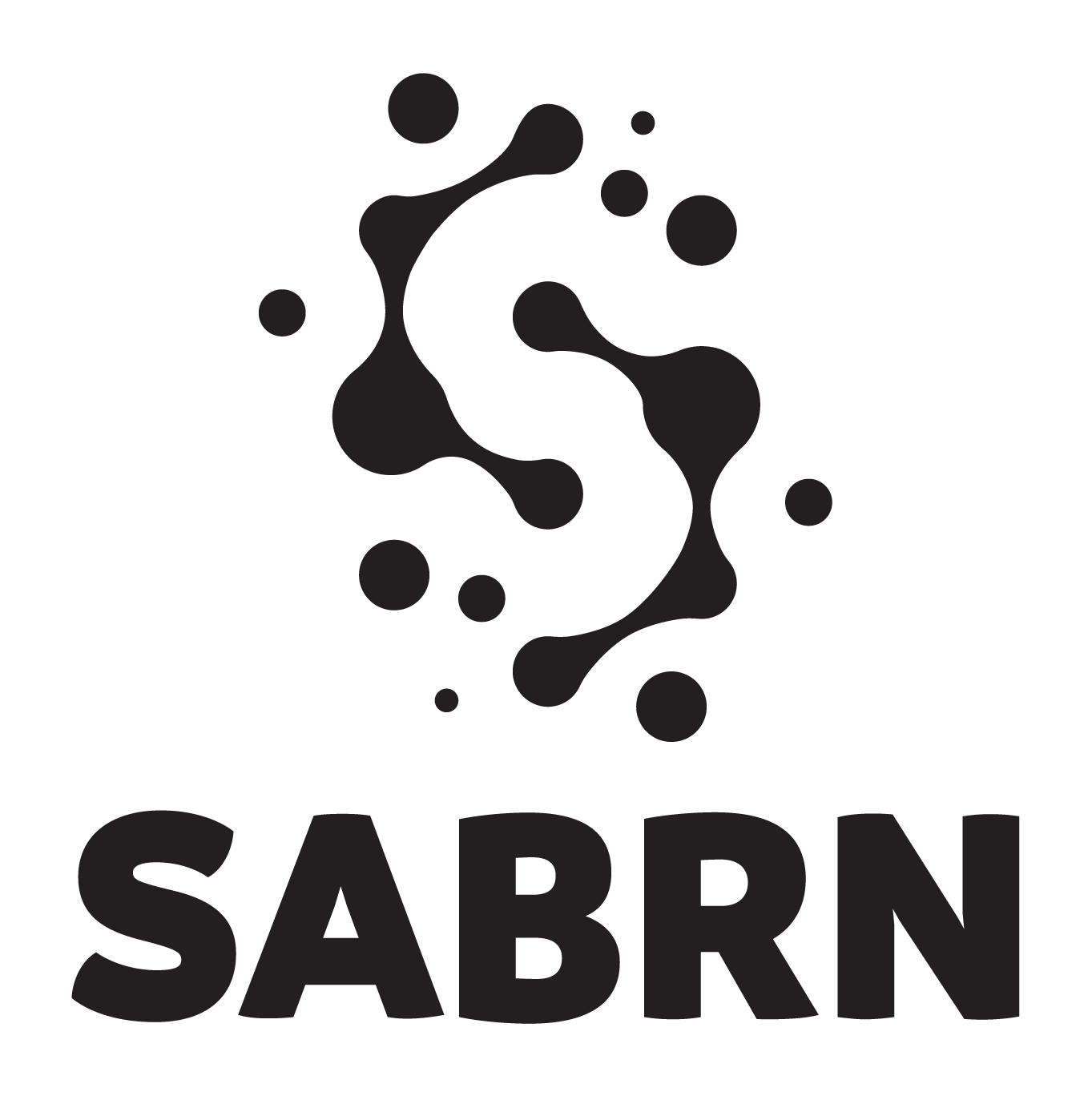 ST_Logo_Black_V